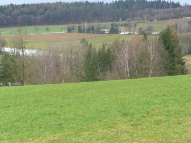 Villa Blockhaus Bayern Stamsried Exterior foto